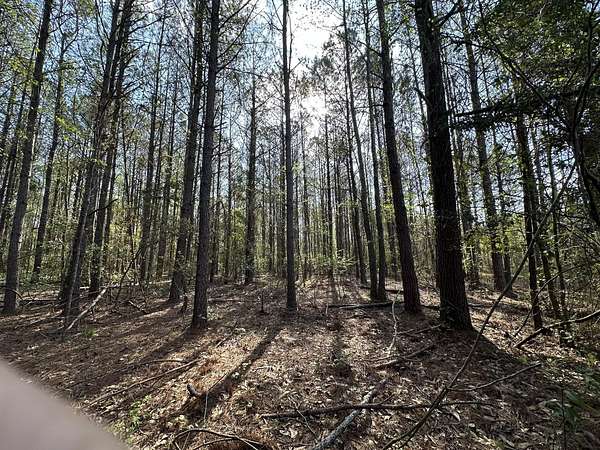33.7 Acres of Recreational & Residential Land for Sale in Frisco City, Alabama