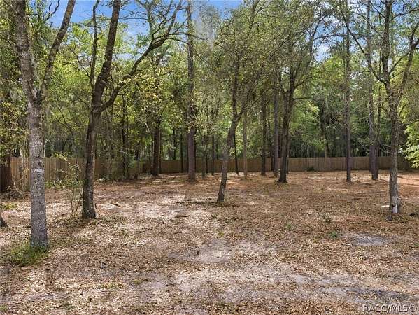 1 Acre of Residential Land for Sale in Crystal River, Florida