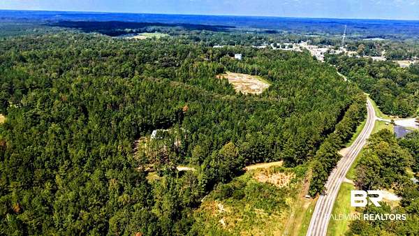 46 Acres of Recreational & Residential Land for Sale in Gilbertown, Alabama