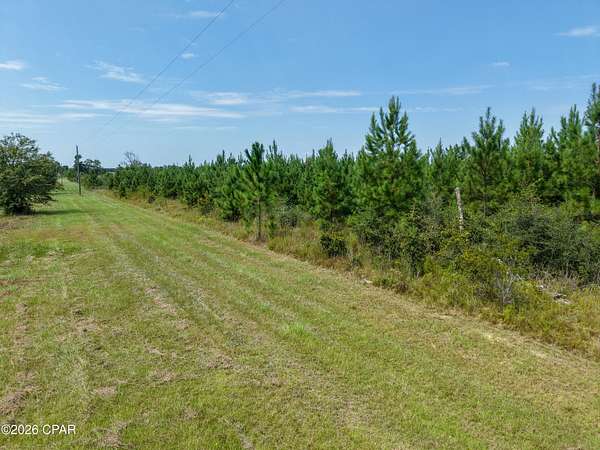 68 Acres of Recreational & Residential Land for Sale in Marianna, Florida