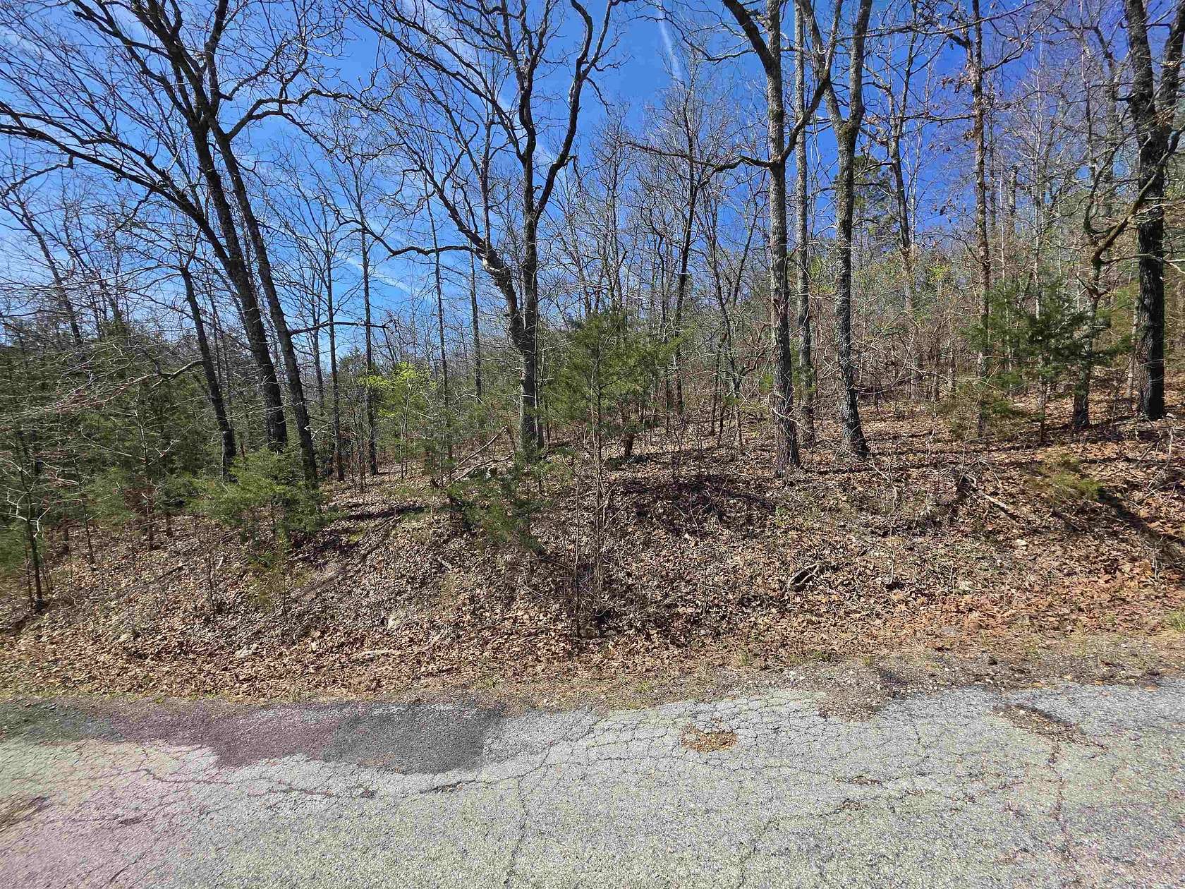 0.31 Acres of Residential Land for Sale in Cherokee Village, Arkansas