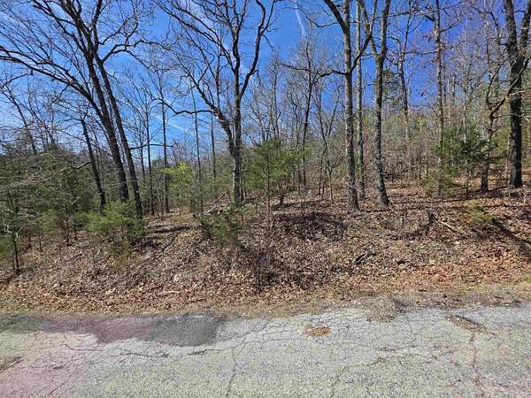 0.31 Acres of Residential Land for Sale in Cherokee Village, Arkansas