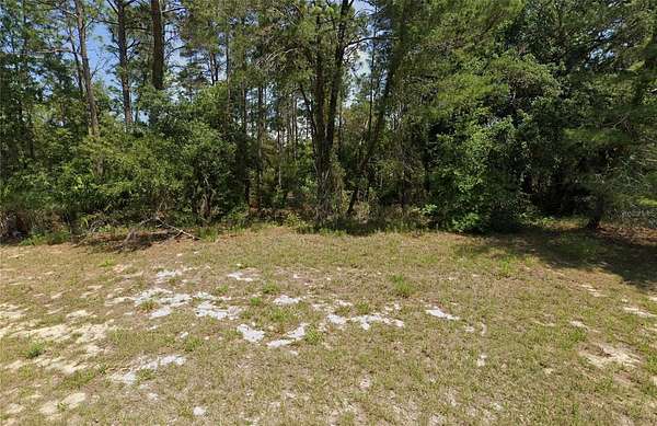 0.23 Acres of Residential Land for Sale in Ocala, Florida