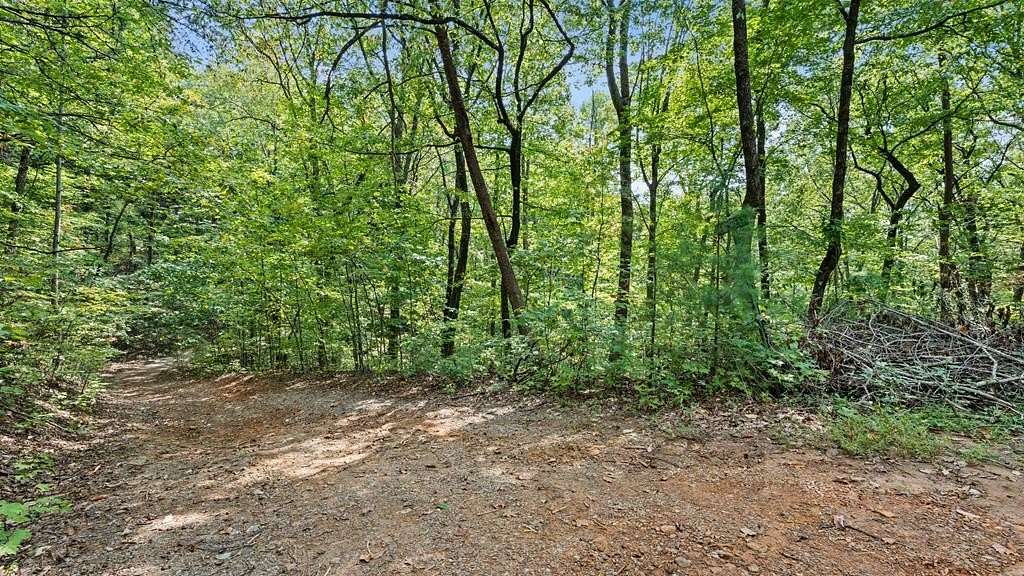 2.47 Acres of Residential Land for Sale in Cherry Log, Georgia