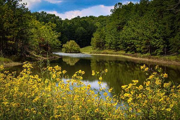 3 Acres of Land with Home for Sale in Mentone, Alabama