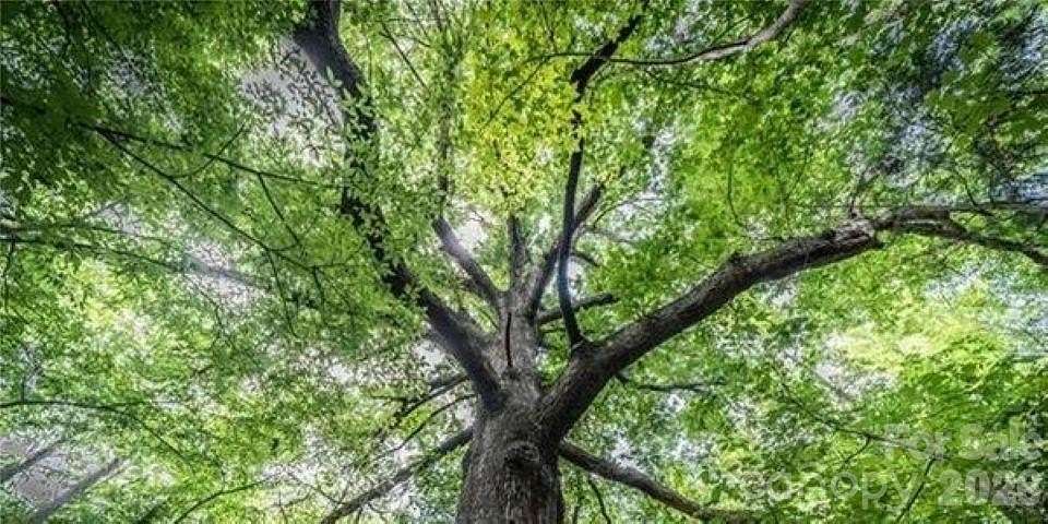 5 Acres of Land for Sale in Waxhaw, North Carolina