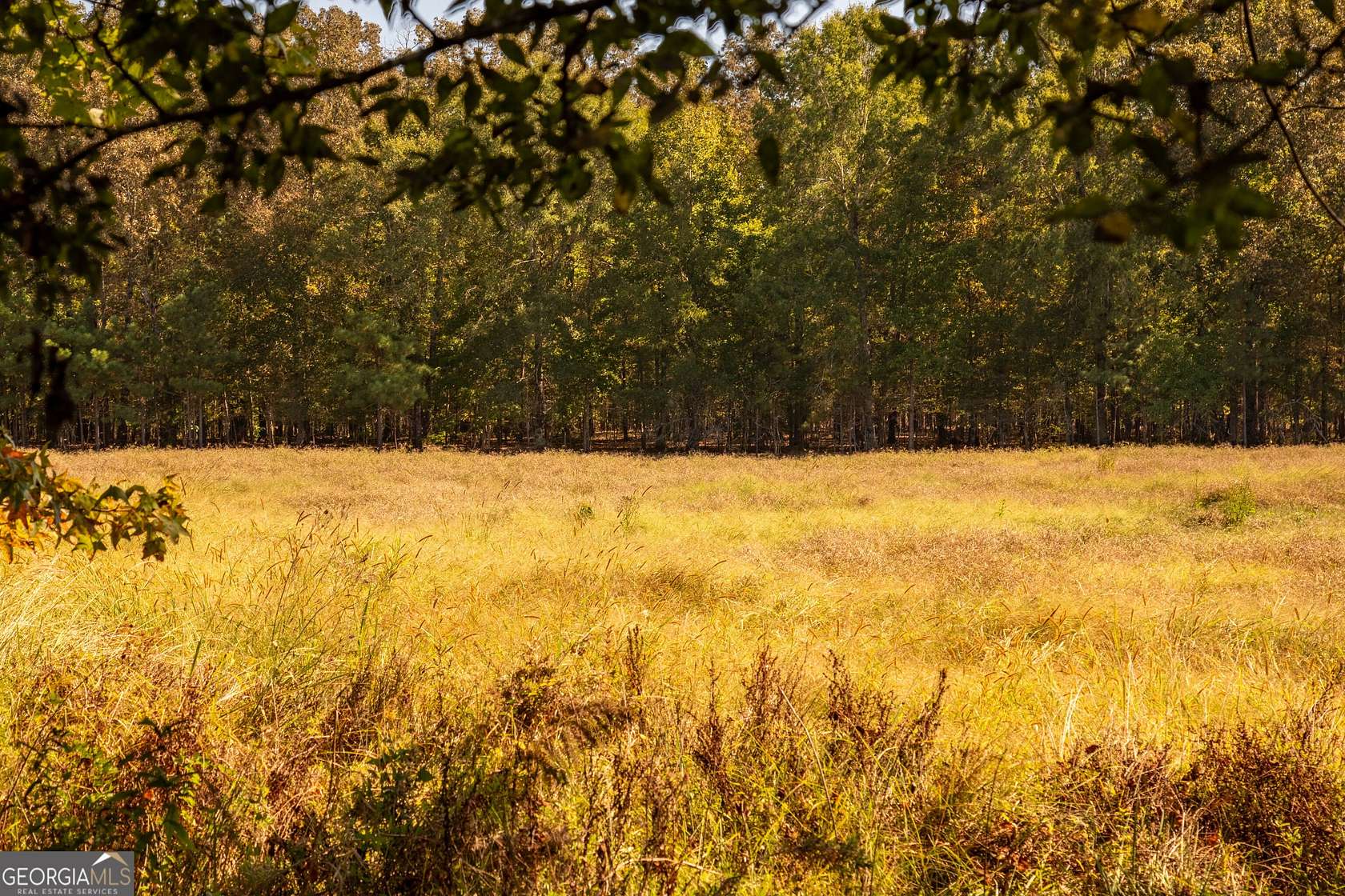 23.2 Acres of Recreational & Residential Land for Sale in Rome, Georgia