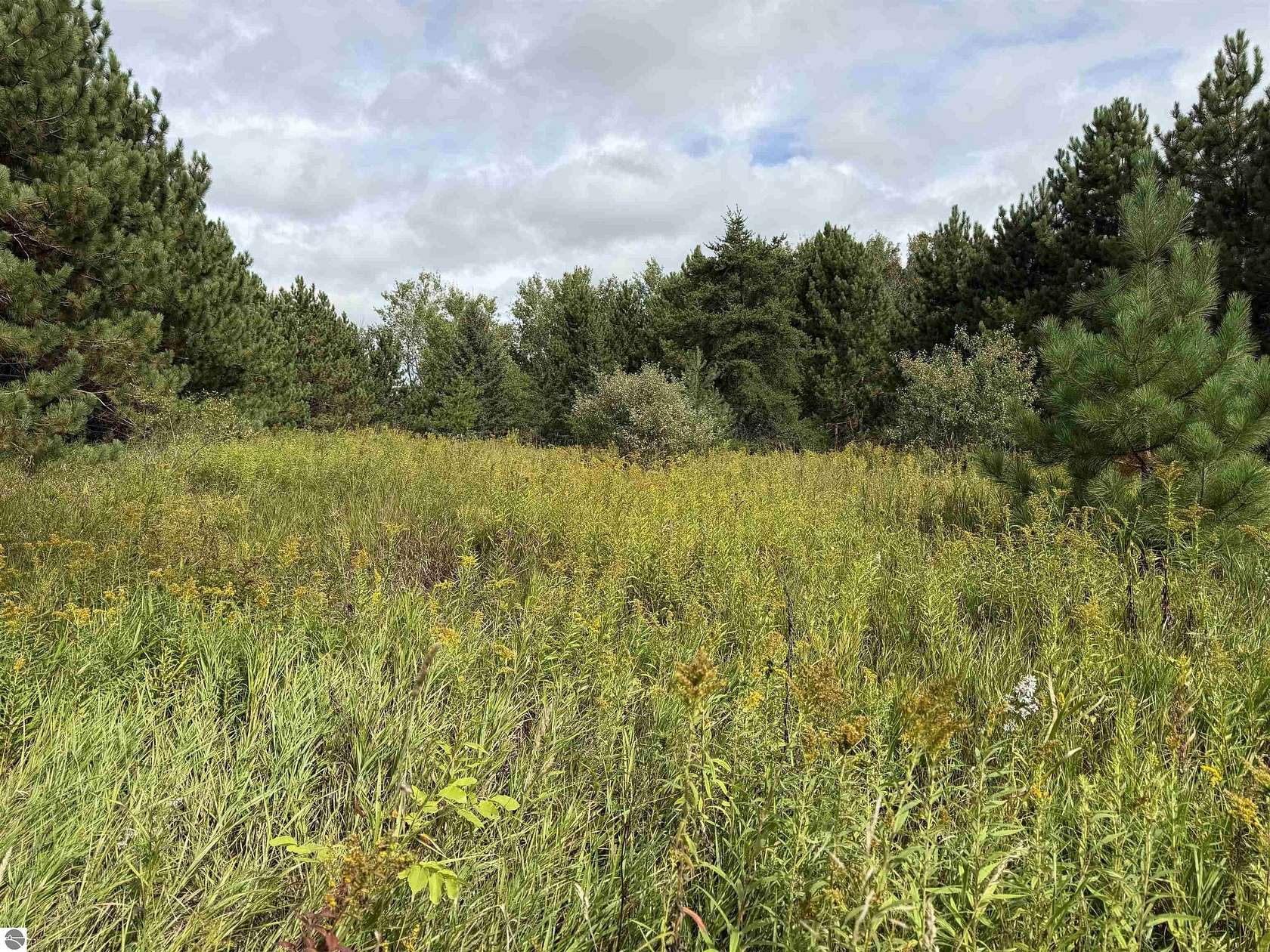 4.5 Acres of Residential Land for Sale in Le Roy, Michigan