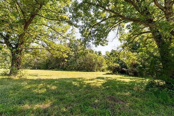 61.5 Acres of Recreational & Residential Land for Sale in Drakes Branch, Virginia
