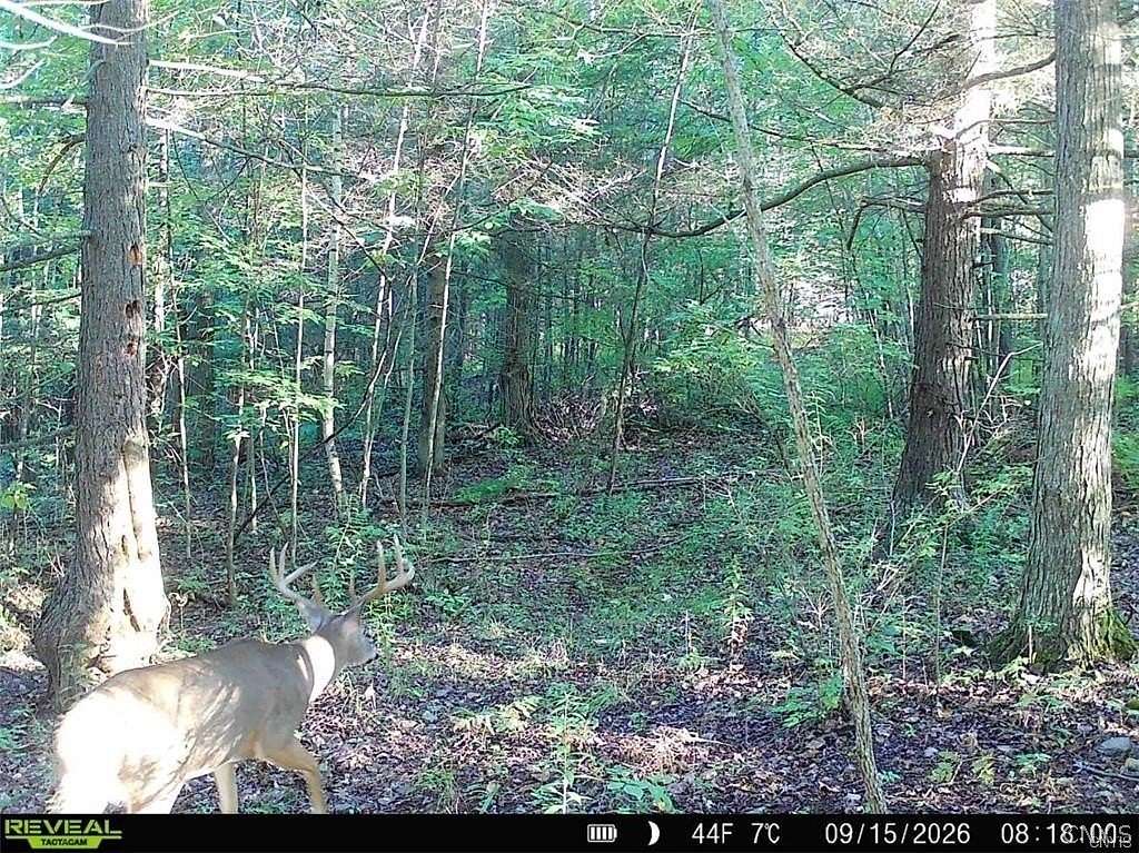 8 Acres of Land for Sale in Addison, New York