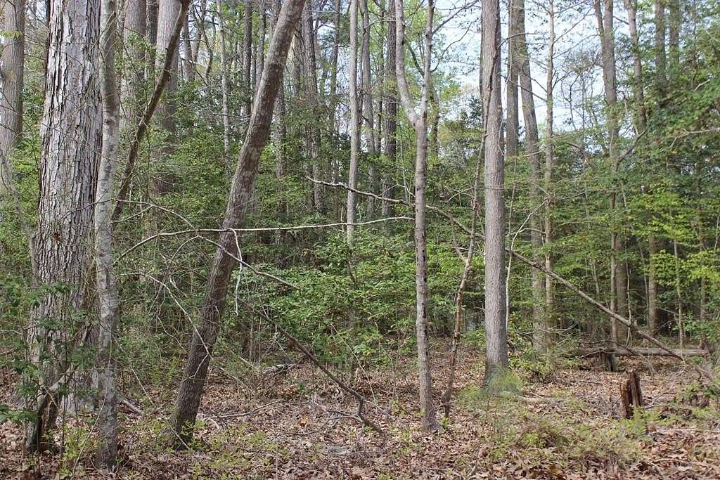 0.33 Acres of Land for Sale in Greenbackville, Virginia