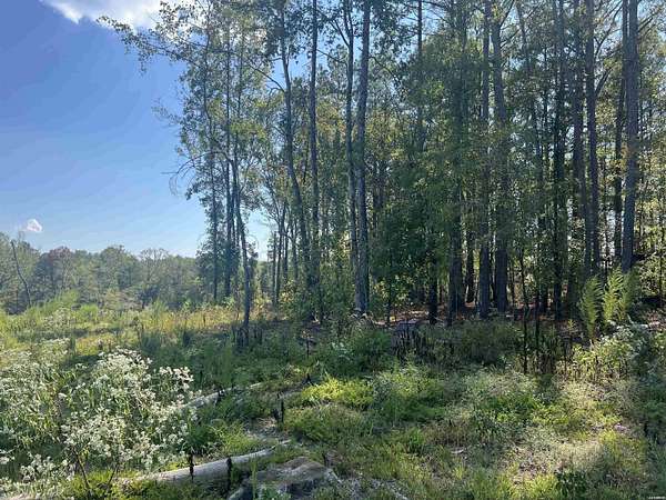36.8 Acres of Improved Land for Sale in Amity, Arkansas