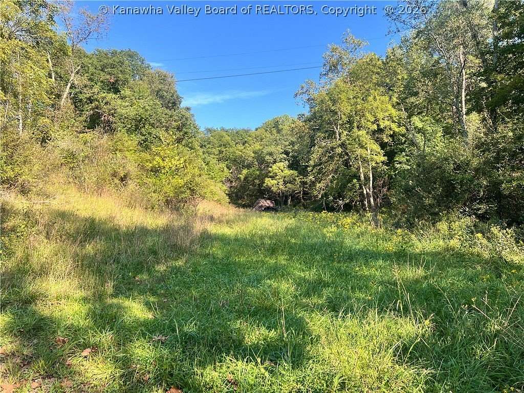 92 Acres of Recreational & Residential Land for Sale in Henderson, West Virginia
