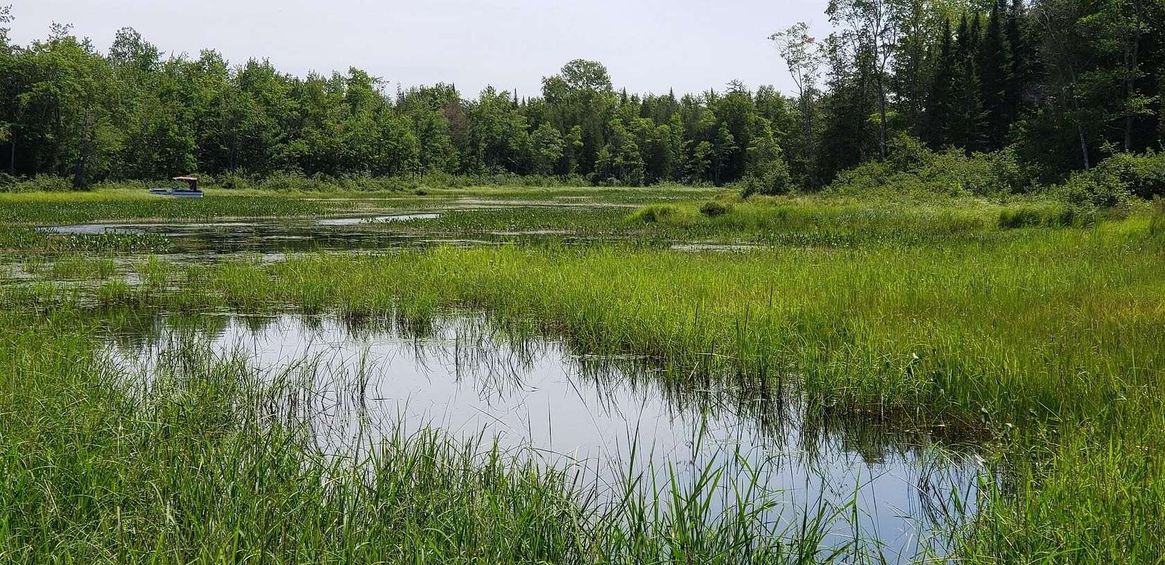23 Acres of Recreational Land for Sale in Milo, Maine