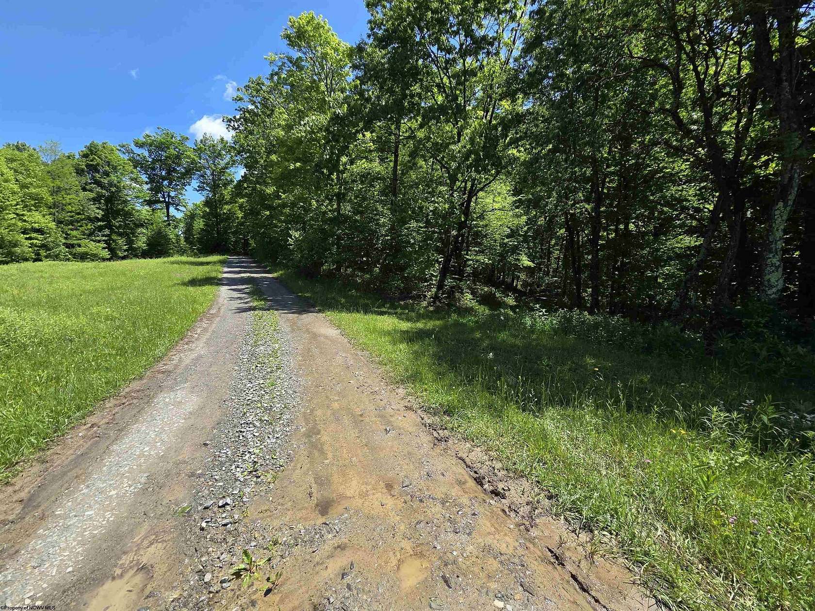 70 Acres of Recreational Land for Sale in Parsons, West Virginia