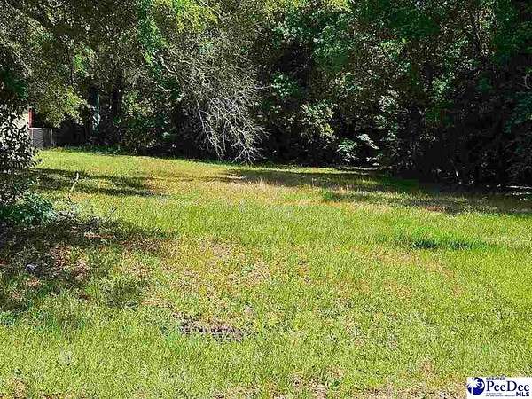 0.45 Acres of Residential Land for Sale in Hartsville, South Carolina