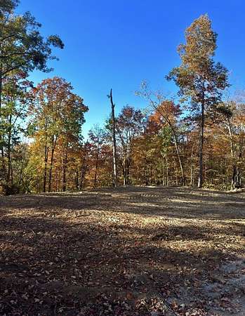 22.8 Acres of Recreational & Residential Land for Sale in Albany, Kentucky