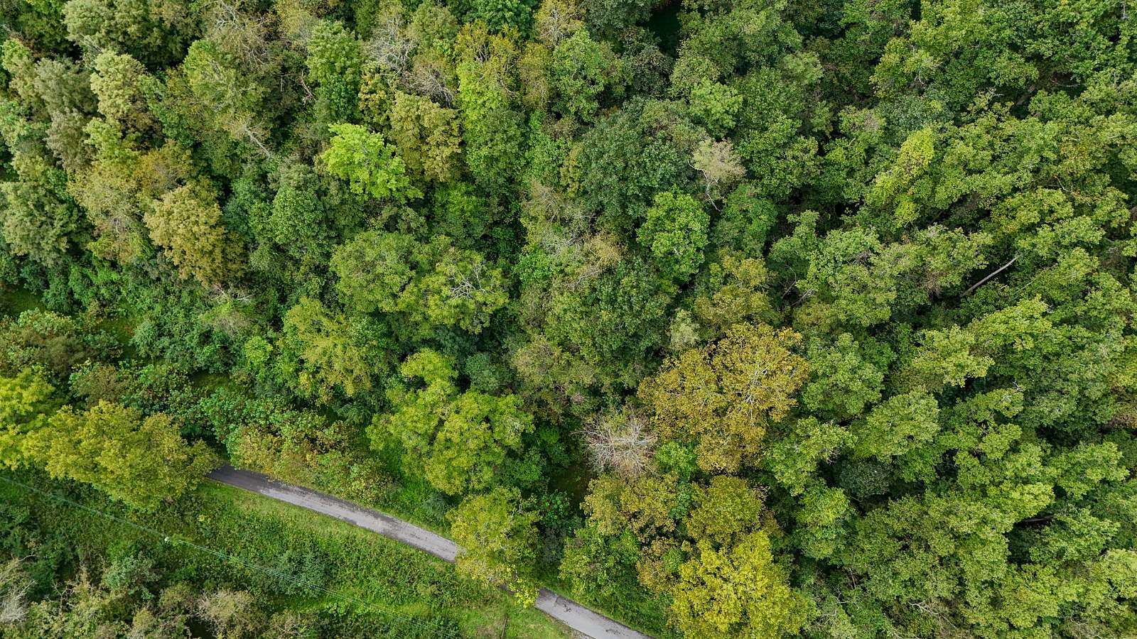 2.25 Acres of Land for Sale in Gassaway, West Virginia
