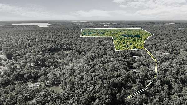 34.4 Acres of Land for Sale in Springville, Tennessee
