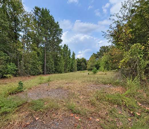 24.2 Acres of Recreational & Residential Land for Sale in Harleton, Texas