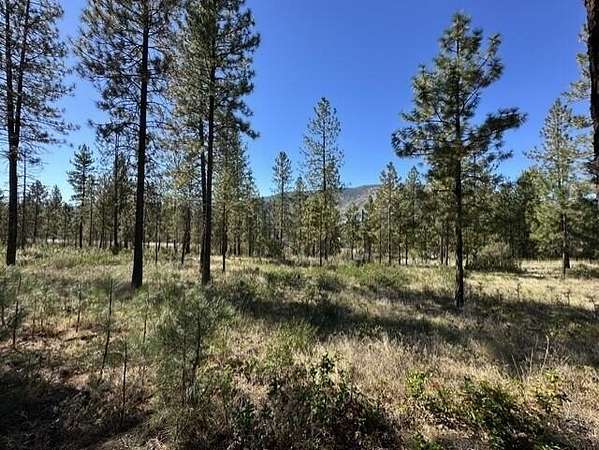 1.86 Acres of Residential Land for Sale in Kettle Falls, Washington