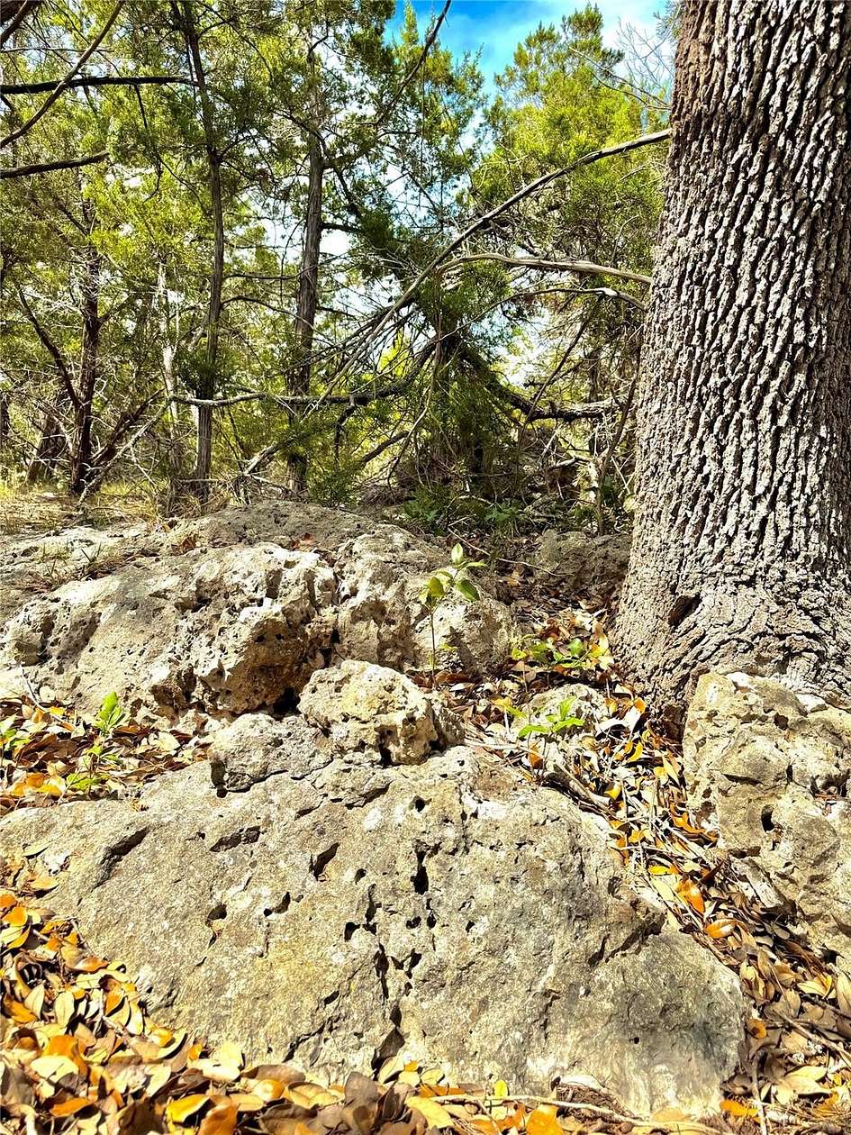 1 Acre of Residential Land for Sale in Canyon Lake, Texas