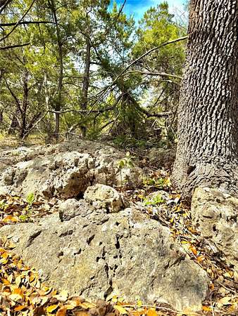 1 Acre of Residential Land for Sale in Canyon Lake, Texas