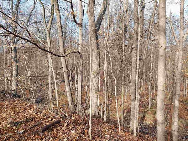 2 Acres of Land for Sale in Fort Wayne, Indiana