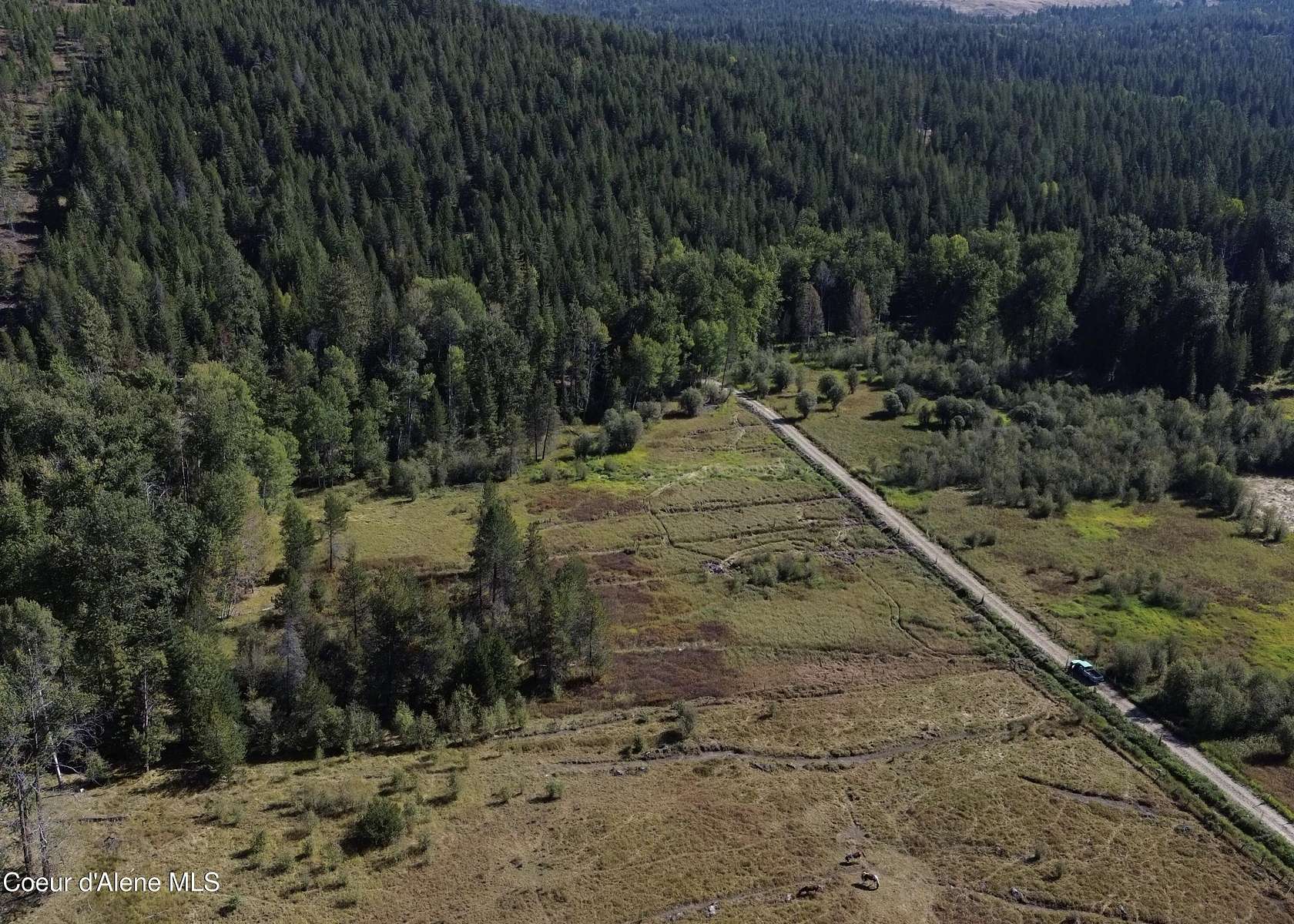 9.83 Acres of Land for Sale in Careywood, Idaho