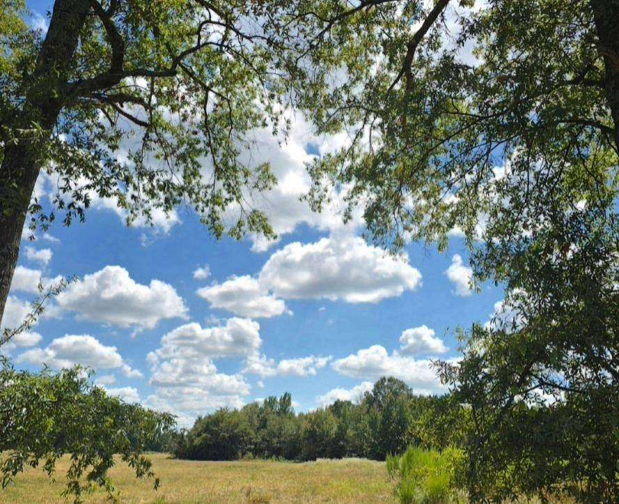 13.6 Acres of Land for Sale in Golden, Oklahoma