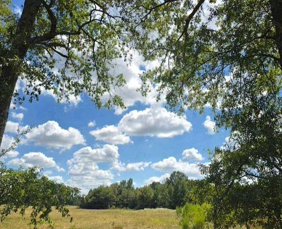 13.6 Acres of Land for Sale in Golden, Oklahoma
