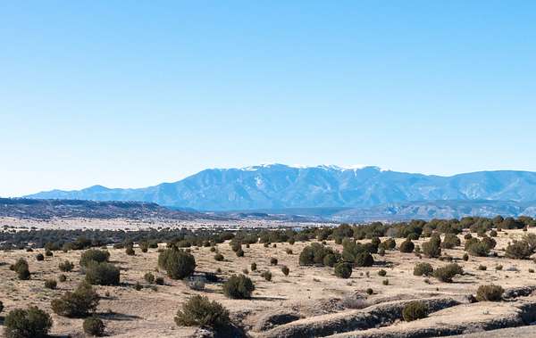 83.4 Acres of Recreational Land for Sale in Beulah, Colorado