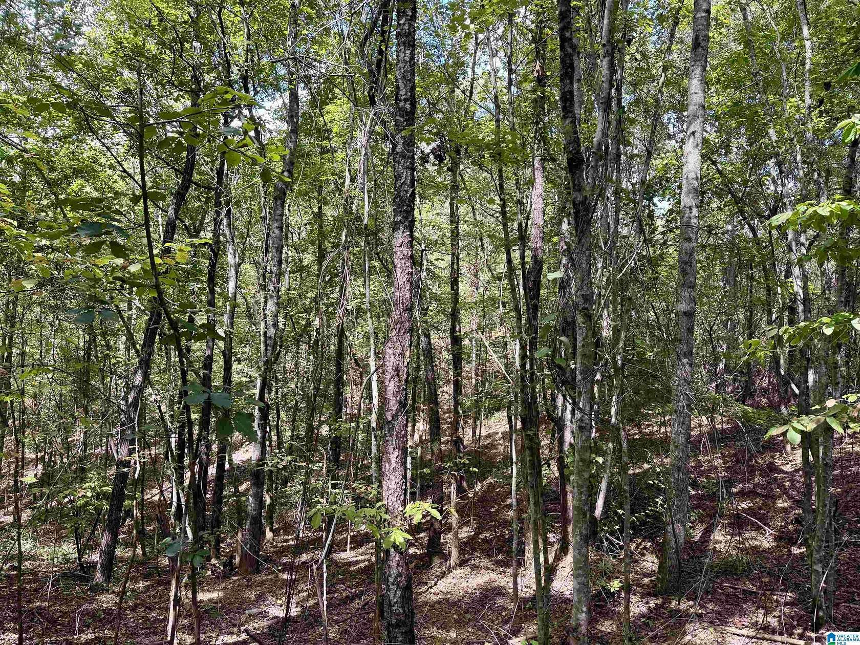 11.7 Acres of Land for Sale in Wedowee, Alabama