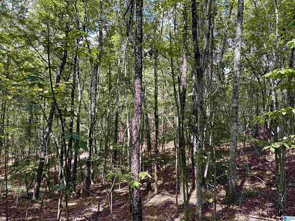 11.7 Acres of Land for Sale in Wedowee, Alabama