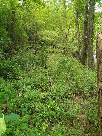 1.69 Acres of Residential Land for Sale in Talking Rock, Georgia