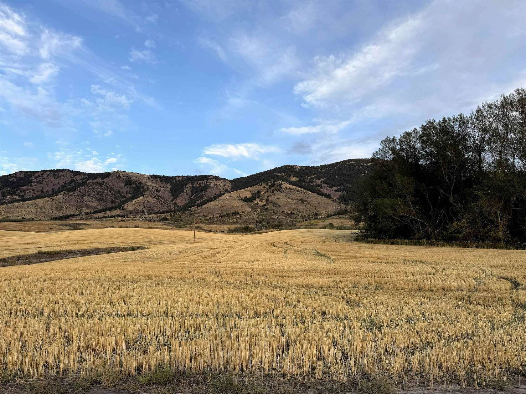 7.8 Acres of Residential Land for Sale in Inkom, Idaho