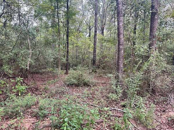 0.21 Acres of Residential Land for Sale in Joaquin, Texas