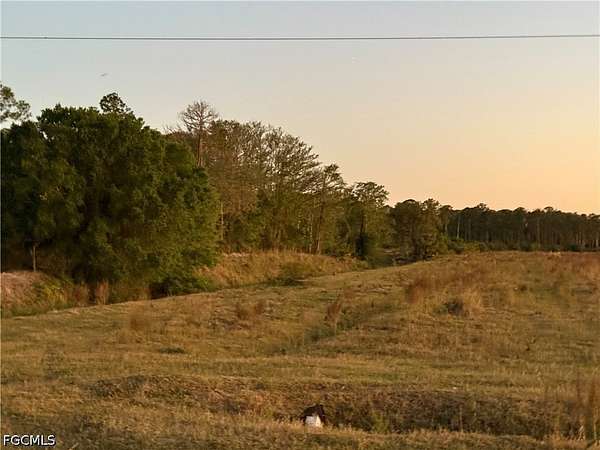 20 Acres of Land for Sale in LaBelle, Florida