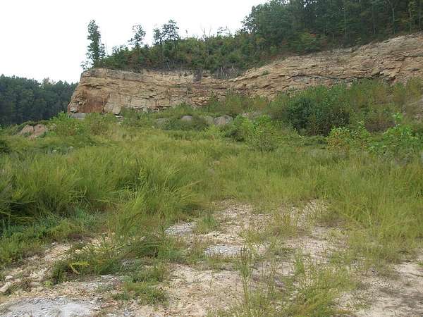 45.2 Acres of Recreational & Residential Land for Sale in Gunlock, Kentucky