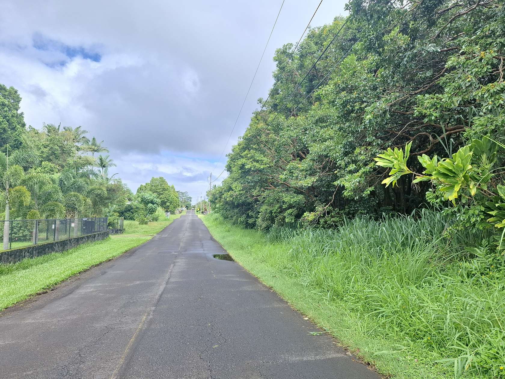 1 Acre of Residential Land for Sale in Keaau, Hawaii