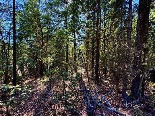 1.53 Acres of Land for Sale in Hayfork, California