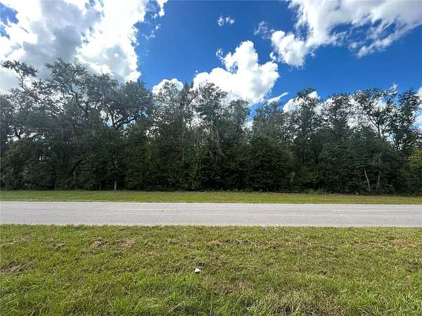 21.2 Acres of Recreational Land for Sale in Morriston, Florida