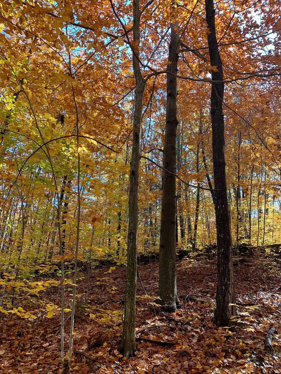 0.9 Acres of Residential Land for Sale in Ashland, New Hampshire