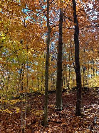 0.9 Acres of Residential Land for Sale in Ashland, New Hampshire