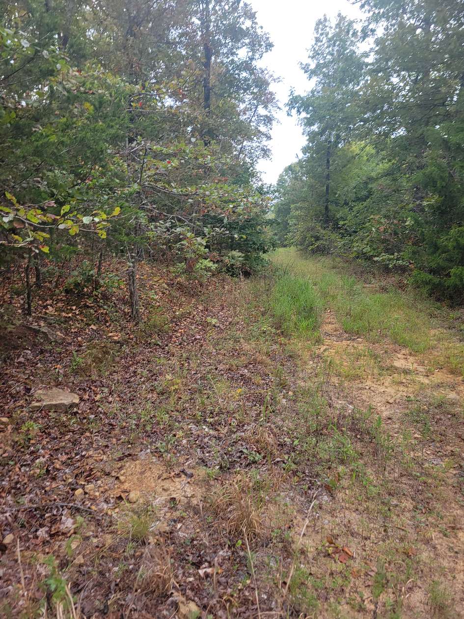10 Acres of Land for Sale in Leslie, Arkansas