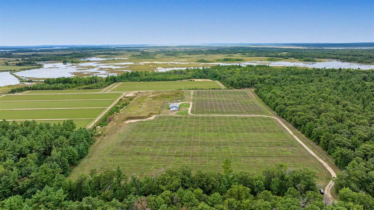 34.5 Acres of Land for Sale in Warrens, Wisconsin