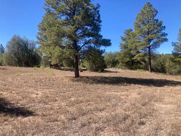 3.29 Acres of Agricultural Land for Sale in Tierra Amarilla, New Mexico