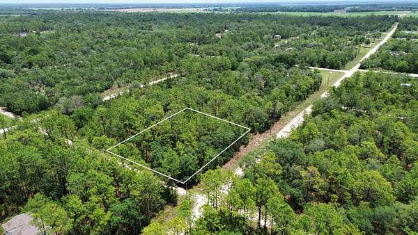 1 Acre of Residential Land for Sale in Williston, Florida