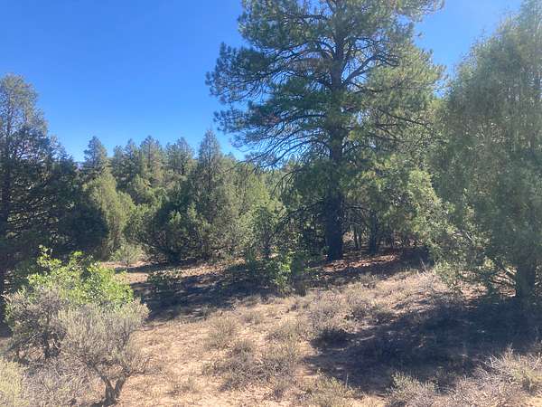 3.13 Acres of Land for Sale in Tierra Amarilla, New Mexico