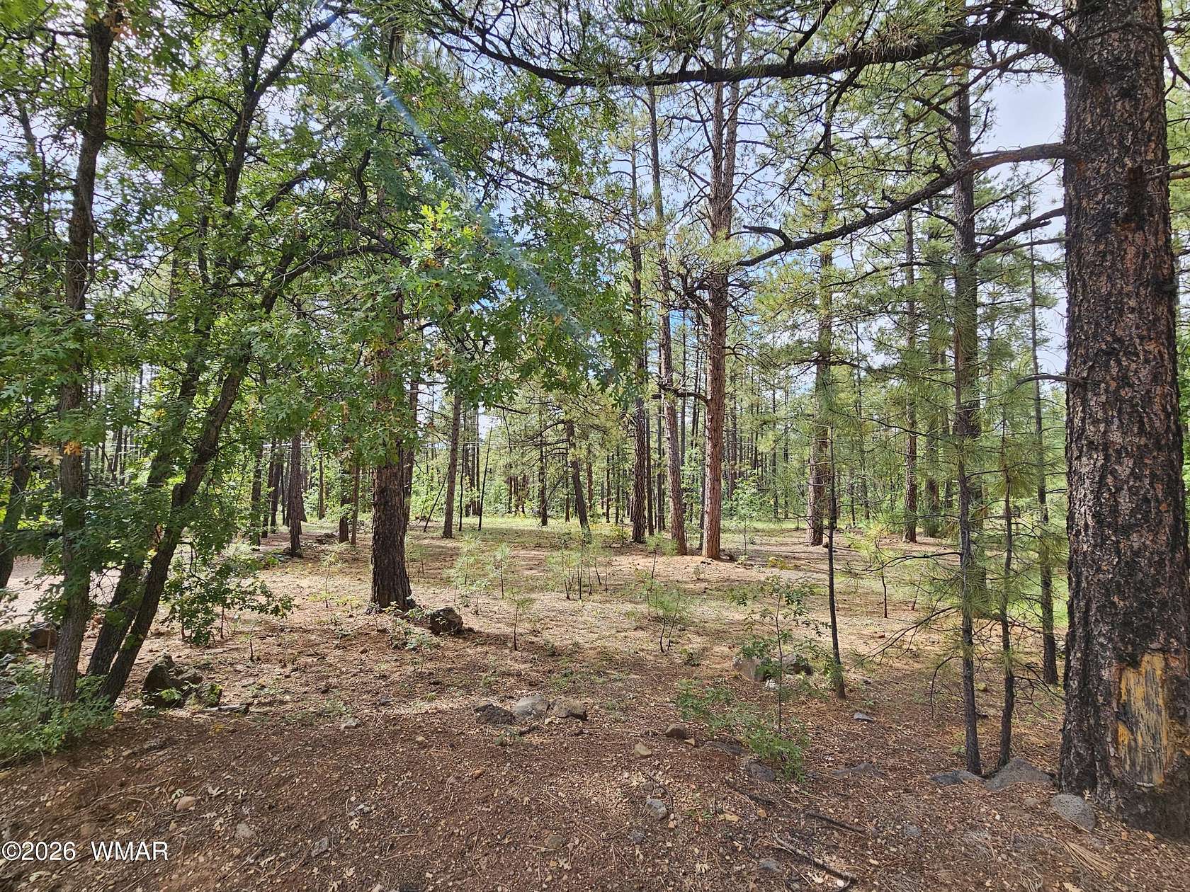 0.38 Acres of Residential Land for Sale in Pinetop, Arizona